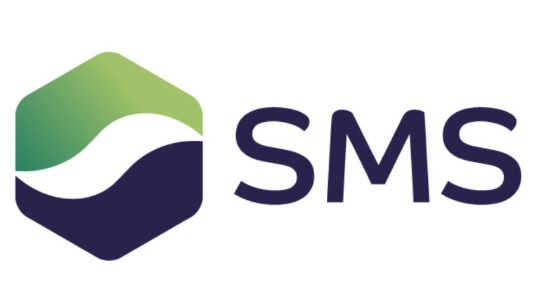 SMS Smart Metering Systems logo